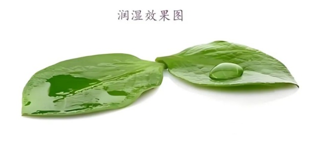 润湿效果图