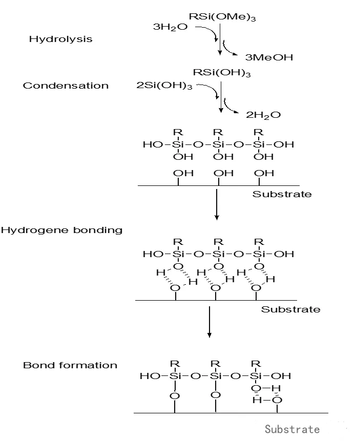 Amino Silane当附着力助剂反应机理